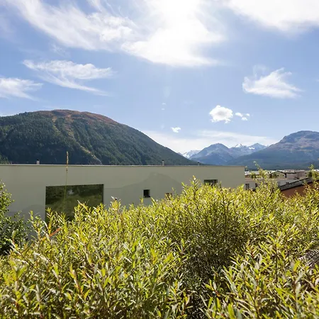 In A Sunny Location In Samedan