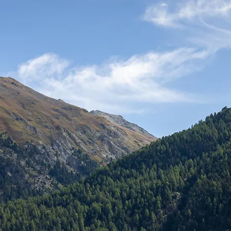 In A Sunny Location In * Samedan