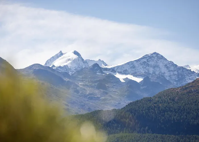 In A Sunny Location In