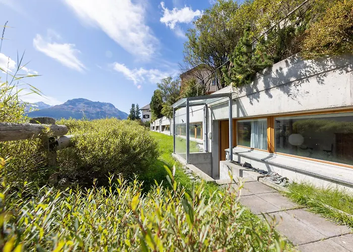 In A Sunny Location In *